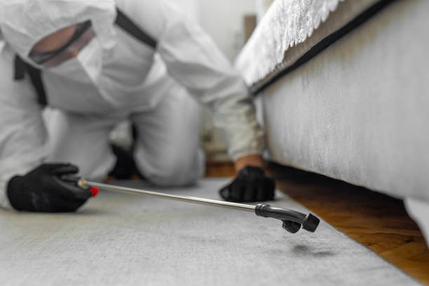 Professional Termite Control technician working in Paris, IL