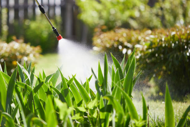 24/7 Emergency Termite Control experts in Paris, IL