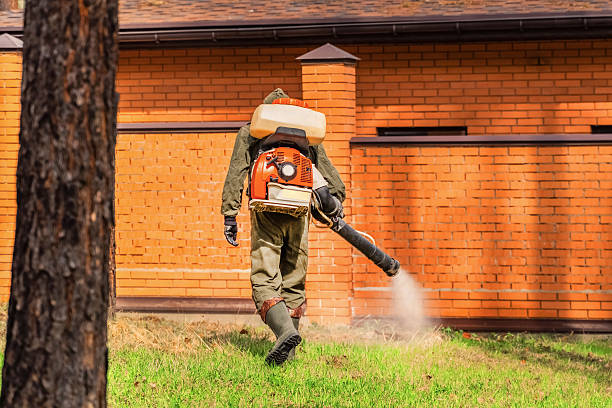 Top rated local Termite Control specialists in Paris, IL